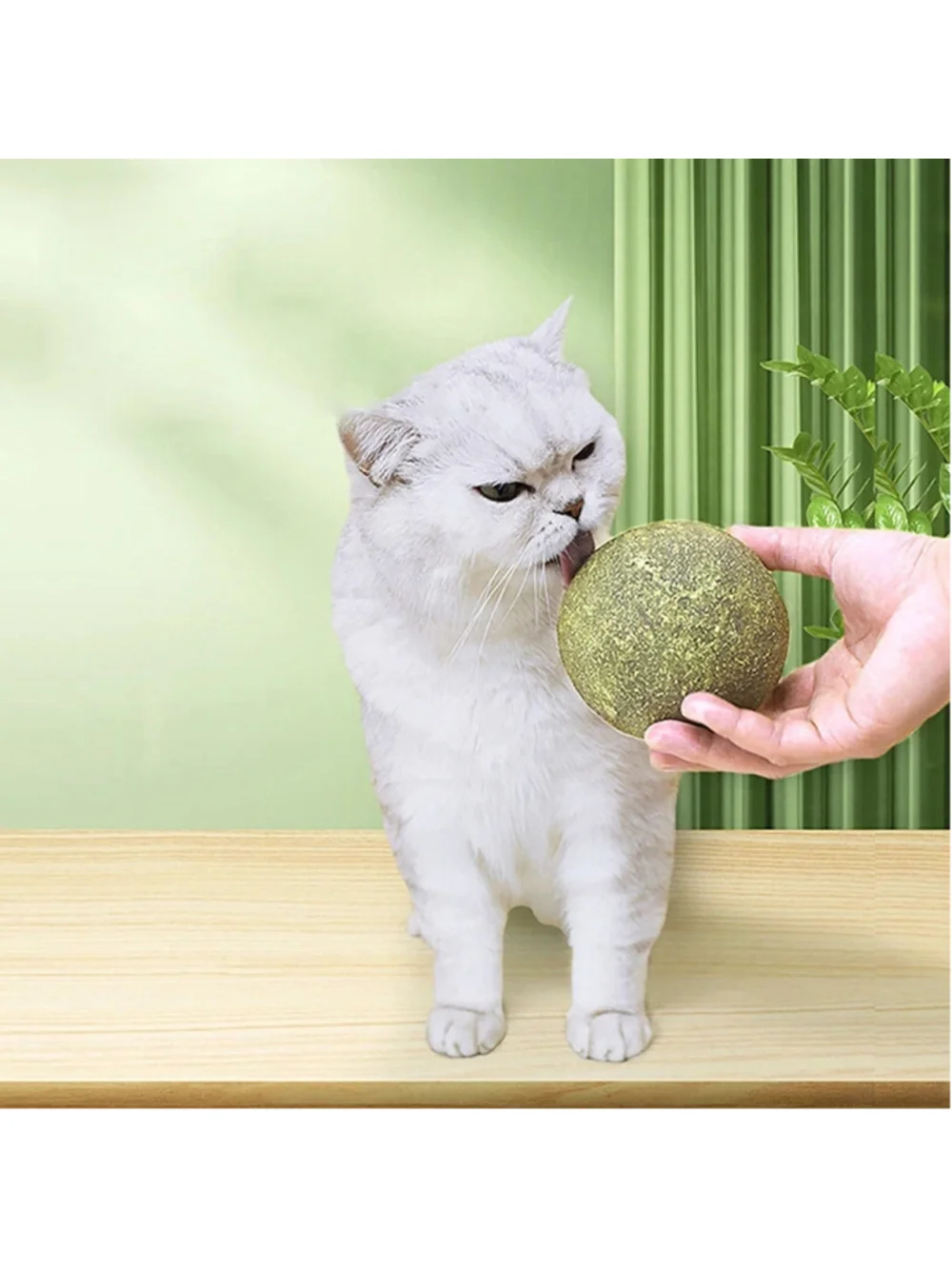 Huge Catnip Ball 3.94 in For Indoor Cats Teeth Cleaning Lick Dental Chew Toys